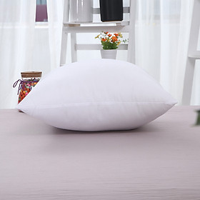 Mua Gối tựa lưng sofa trang trí ruột gối tựa Passion Bedding bông 4D cao cấp