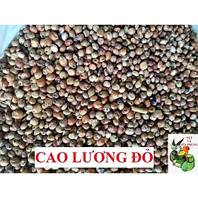 1KG HẠT BO BO ĐỎ CAO LƯƠNG ĐỎ cho THÚ CƯNG, VẸT, CHIM CẢNH