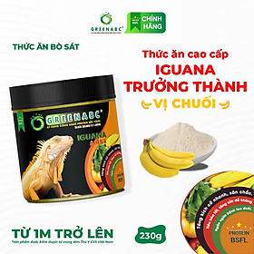 Thức ăn IGUANA TRƯỞNG THÀNH Vị Chuối GREENABC - Dành cho Igu từ 1m trở lên, gai bung màu đẹp - Hộp 230g