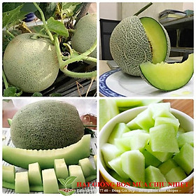 Mua Hạt Giống Dưa Lưới Xanh - 10 hạt