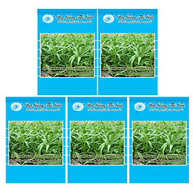 Bộ 5 Gói Hạt Giống Rau Muống Tre Thái Lan (Ipomoea aquatica) 50g