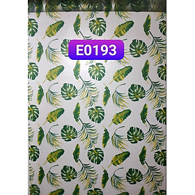 Mua Decal dán kính lá nhiệt đới
