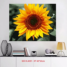Mua Tranh sơn dầu số hóa tô màu theo số Hoa hướng dương HL4091
