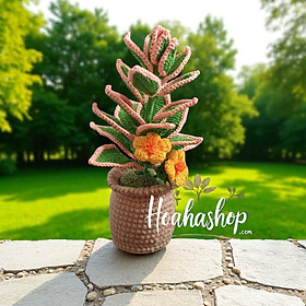 Mua Chậu cây mini handmade – Điểm nhấn xinh xắn cho góc nhỏ của bạn