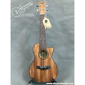 Mua ĐÀN UKULELE CONCERT MUSIC 23  KHUYẾT