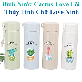 Bình Nước Cactus Love Lõi Thủy Tinh Hình Cây Xương Rồng