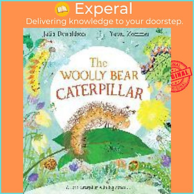 Sách - The Woolly Bear Caterpillar by Julia Donaldson Yuval Zommer (UK edition, hardcover)