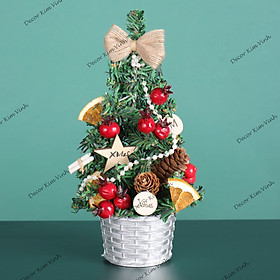 Mua Cây Thông Nhí TNM Cây Thông Noel 20cm Trang Trí Giáng Sinh