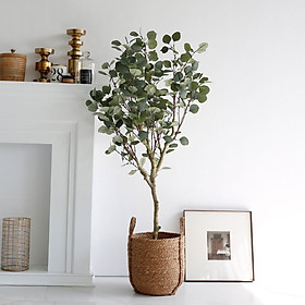 Mua Cây Lá Táo Giả Trang Trí decor siêu xinh