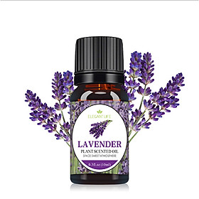 Mua Tinh Dầu Xông Phòng Thiên Nhiên Nguyên Chất Nhiều Mùi Thơm Lọ 10ml