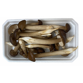Nấm mối ngon bổ rẻ - Gói 250g