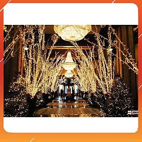Combo 5 dây led không chớp  - trang trí noel_tết - Ánh sáng cực lung linh