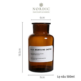 Mua Lọ thủy tinh phong cách Bắc Âu  cắm hoa  decor sang trọng  nhẹ nhàng - Nordic decor