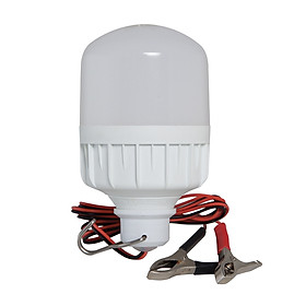 Mua Bóng Đèn LED Bulb Trụ 12W Rạng Đông Model: TR70N1/12W.DCV2