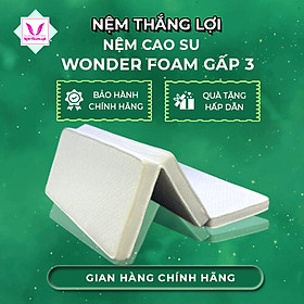 Mua NỆM CAO SU WONDER FOAM THẮNG LỢI GẤP 3 -HÀNG CHÍNH HÃNG