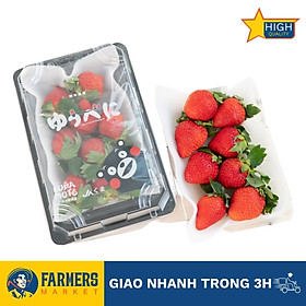 Dâu Đỏ Ichigosan Nội Địa Nhật Bản - Trái căng mọng, bóng đẹp, cuống xanh tươi, dâu có vị ngọt xen chút chua nhẹ đặc trưng và đặc biệt rất thơm (Khay 250G)