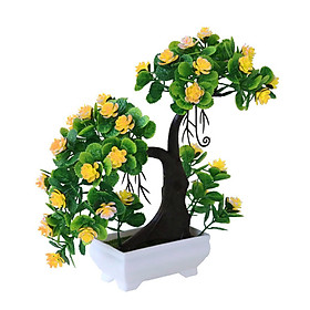 Chậu Cây Giả Trang Trí