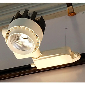 Mua ĐÈN LED RAY  RỌI COB CÔNG SUẤT 20W