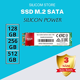 Mua SSD Silicon Power M.2 2280 SATA A55 512GB - Hàng chính hãng
