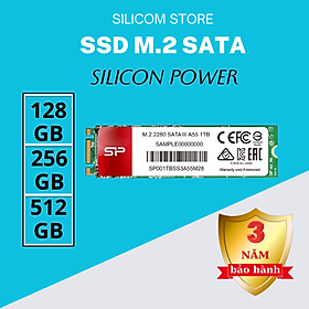 SSD Silicon Power M.2 2280 SATA A55 512GB - Hàng chính hãng