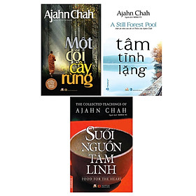 Combo 3 quyển: Một Cội Cây Rừng + Tâm Tĩnh Lặng + Suối Nguồn Tâm Linh
