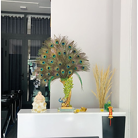 Mua Bình Chim Công Phong Thuỷ - Cao 38cm - HCM