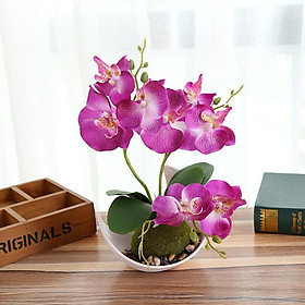 Hoa hoa lan nhân tạo với lọ nhựa trắng giả hoa phalaenopsis với nồi hoa nhân tạo để trang trí bàn cưới tại nhà