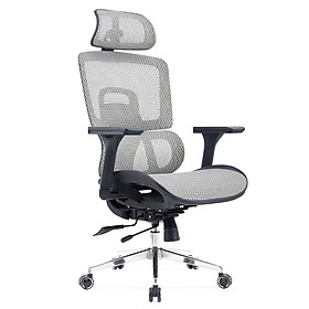 Mua Ghế công thái học giảm đau lưng mỏi cổ đau vai gáy CM4559-M Nội thất Capta Ghế làm việc tại nhà lưng lưới khung nhựa đen  có tựa đầu điều chỉnh giá đỡ lưng hỗ trợ cột sống chân thép mạ chrome office chair hcm