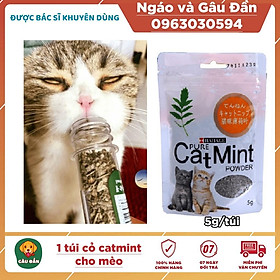 Túi catnip cho mèo, bạc hà mèo Catmint Ngáo Và Gâu Đần 5gr