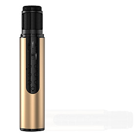 Mua Micro Hát Karaoke K1 Hát Cực Hay Âm Thanh Chân Thật Hút Âm Tốt - Hàng Chính Hãng PKCB