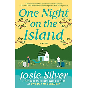 One Night on the Island: A Novel