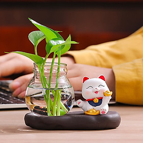Mua Bộ decor Mèo thần tài may mắn kết hợp cùng bình thủy sinh trang trí nhà  bàn làm việc góc học tập giúp mang lại may mắn và thư giãn cho người sử dụng