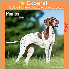Sách - Pointer  Calendar 2024  Square Dog Breed Wall Calendar - 16 Month by  (UK edition, paperback)