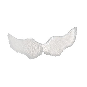 Angel  Women Feather  Cosplay for Festive Party Festivals Birthday