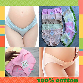 COMBO 5 QUẦN LÓT BẦU CẠP CHÉO 100% COTTON