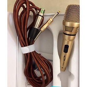Mua Mic hát Karaoke có dây