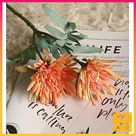 Mua Hoa Giả Lụa - HOA CÚC KIM CƯƠNG PHỦ SÁP Giống Thật