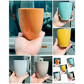 Ly cốc sứ xuất Nhật cao cấp màu sắc rực rỡ