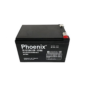 Bình Ắc Quy Khô PHOENIX TS12120 12V-12AH Dùng Cho UPS, Loa Kéo, Bình Phun Thuốc Sâu, Cửa Cuốn