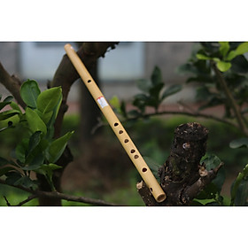 Mua Sáo Trúc (Sáo Ngang) VS2 Tone Rê (D5) Nứa Nam - Sáo Trúc Bùi Gia