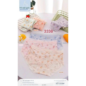 Quần Lót Nữ Thun Xốp Hình Trái Cây Xinh Xắn 3338 – Kiểu Dáng Nữ Tính, Co Giãn Thoáng Mát