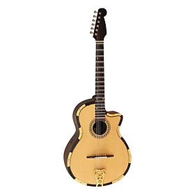 Guitar Vọng Cổ DVC350 NAT