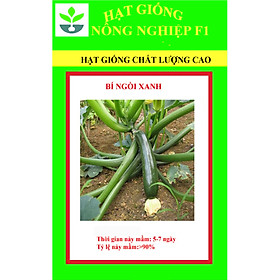 Gói 50 hạt giống bí ngòi xanh
