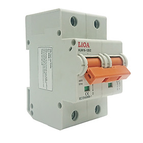 Mua APTOMAT LiOA 2 Cực 100A Dòng Cắt