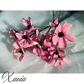 Mua Hoa khô trang trí  decor giá rẻ - Hoa sao