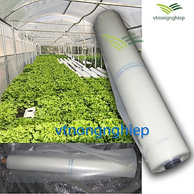 Mua 1m Màng PE nhà kính Đạt Hòa  khổ 4.2m