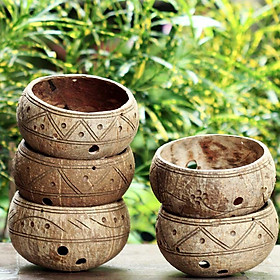 Gáo dừa thô TRỒNG LAN I CÂY CẢNH [Coconut planter set (set of 5)]