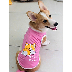 ÁO BA LỖ CORGI DÀNH CHO THÚ CƯNG CHÓ MÈO