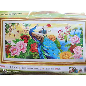 Mua Tranh thêu 5d Công dv6269