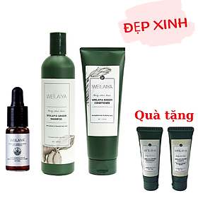 Combo Gội Xả Hỗ Trợ Trị Gàu Dưỡng Tóc Weilaiya Tinh Chất Gừng Trắng Cao Cấp và Serum Mọc Tóc Weilaiya 5ml - Tặng Kèm Gội (Xả) Mini Weilaiya Ngẫu Nhiên